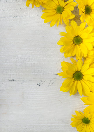 Beautiful flower on grunge wooden table.copy space.の写真素材