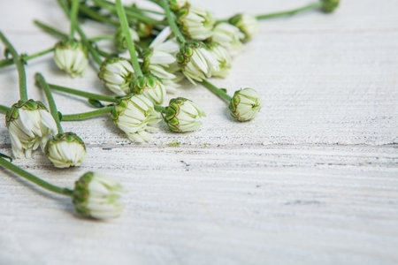 Beautiful flower on grunge wooden table.copy space.の写真素材
