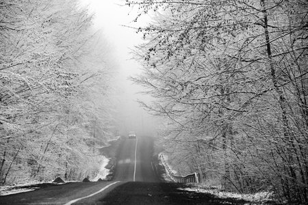 Beautiful winter landscape in the european forest. Snow on the trees. Enigmatic and amazing winter nature in black and white. Frosted trees branches.の写真素材