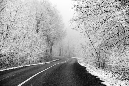 Beautiful winter landscape in the european forest. Snow on the trees. Enigmatic and amazing winter...