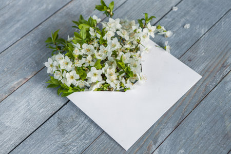 White spring cherry blossom on blue rustic wooden table. Opened envelope with spring flowersの写真素材