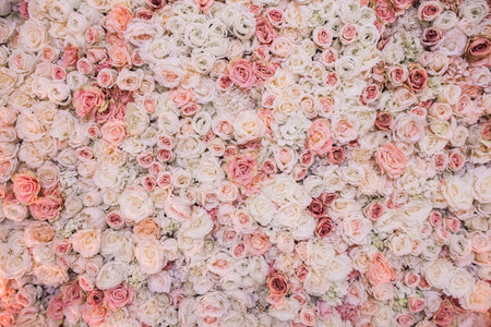 Background of pink orange and peach roses. Beautiful flowers background for wedding scene.の写真素材