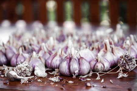 Organic garlic on wood background. Fresh herbs and spices.の写真素材