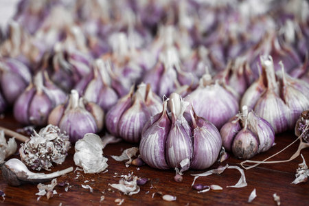 Organic garlic on wood background. Fresh herbs and spices.の写真素材