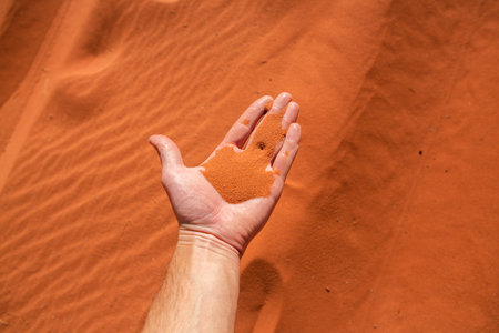 Wadi Rum Desert in Jordan. On the Sunset. Panorama of beautiful sand pattern on the dune.
