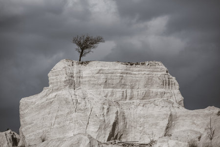 Abandoned limestone quarry. Interesting form of relief. Amazing hills and ground. Dry areas of the...