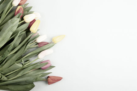 Banner with bouquet of tulips in pink and white colors. Concept of spring, Women's Day, Mother's...