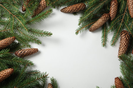 New Year's Eve background with fir branch and cones. Christmas and New Year holidays composition of...