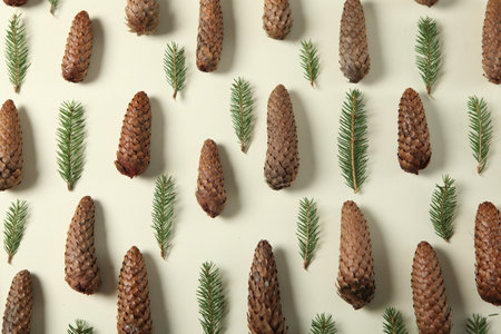 New Year's Eve background with fir branch and cones. Christmas and New Year holidays composition of pine tree branches.の写真素材