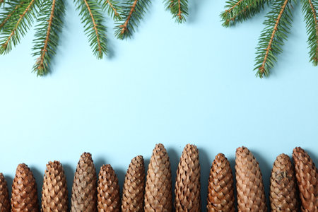 New Year's Eve background with fir branch and cones. Christmas and New Year holidays composition of pine tree branches.の写真素材