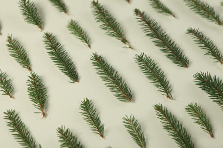 New Year's Eve background with fir branch and cones. Christmas and New Year holidays composition of...