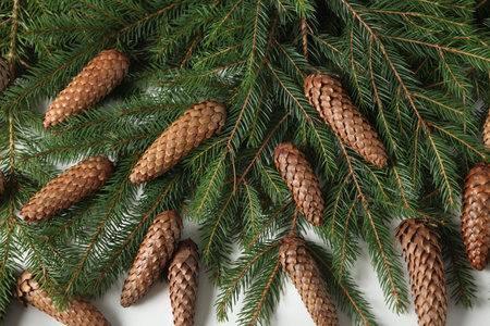 New Year's Eve background with fir branch and cones. Christmas and New Year holidays composition of...