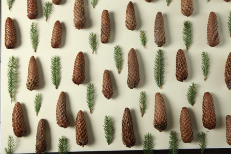 New Year's Eve background with fir branch and cones. Christmas and New Year holidays composition of...