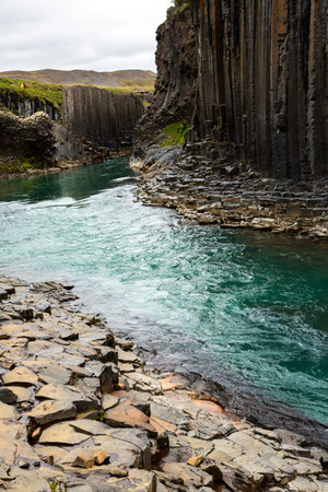 travel to Iceland - view of Svartifoss waterfall in Katla Geopark in septemberの写真素材