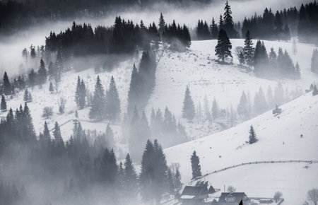 Foggy winter landscape in the Carpathian Mountains, Ukraineの写真素材