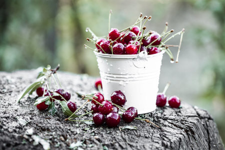 Cherries in a bucket on a wooden stump in the garden