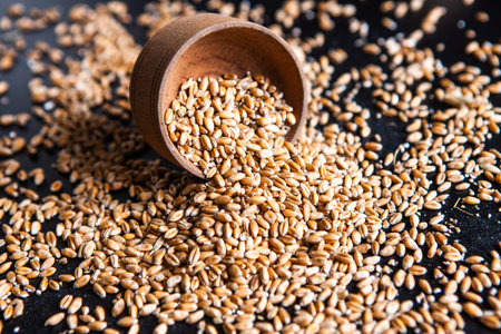 Spikelets of wheat in a wooden bowl on a black background.の写真素材