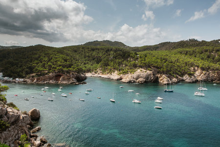 Yachts and boats in the bay on the island of Sardinia