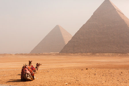 Egyptian pyramids and camels in Giza, Cairo, Egyptの写真素材