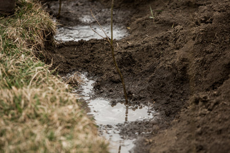 water puddle on the ground with grass and trees in the backgroundの写真素材