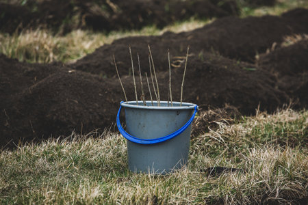 A bucket of water is on the grass with a pile of earth.の写真素材