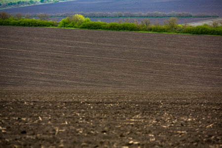 plowed field ready for sowing in the spring with blue skyの写真素材