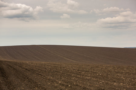 Ploughed field with clouds in the background. Toned.の写真素材