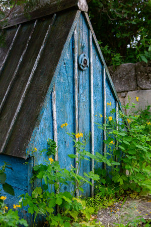 Old blue wooden shed with yellow flowers in the foreground, close upの写真素材