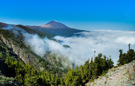 Panoramic view of Teide national park, Tenerife, Canary Islands, Spainの写真素材