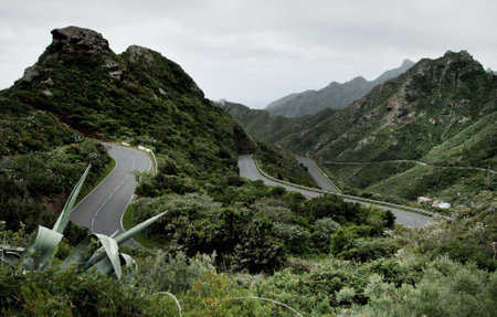 Mountain road in La Palma island, Canary Islands, Spainの写真素材