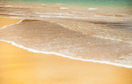 Soft wave of the sea on the sandy beach. Selective focus.の写真素材