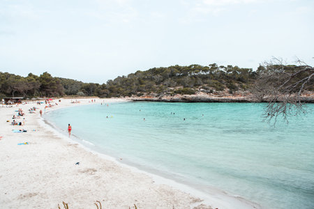 Beautiful beach on the island of Mallorca, Spain.の写真素材