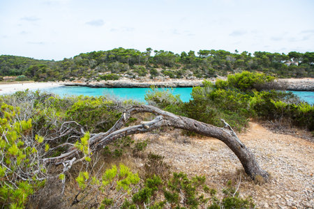 Beautiful bay with turquoise water in Costa Paradiso, Sardiniaの写真素材