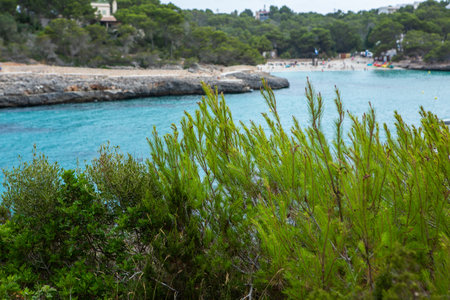 Beautiful beach in Ibiza, Balearic Islands, Spainの写真素材