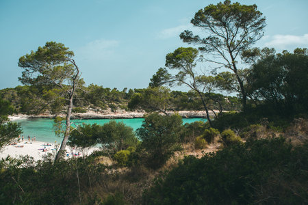 Pine trees and turquoise water in Cala Figuera, Costa Brava, Catalonia, Spainの写真素材