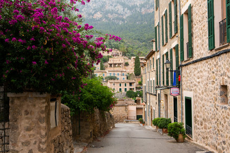 Street in the old town of Tossa de Mar, Catalonia, Spain