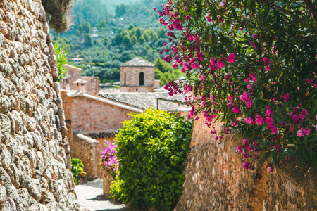 View of a medieval street in the Old Town of the picturesque Spanish-style village Fornalutx, Majorca or Mallorca islandの写真素材