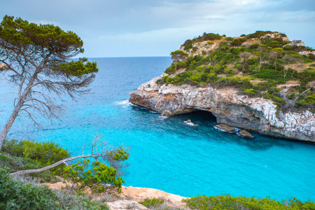 Beautiful sunset beach landscape, exotic tropical island nature, blue sea water, ocean waves, summer holidays vacation in Mallorca, Spainの写真素材
