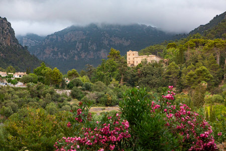 View of a medieval street of the picturesque Spanish-style village Valdemossa in Majorca or Mallorca island, Spain.の写真素材
