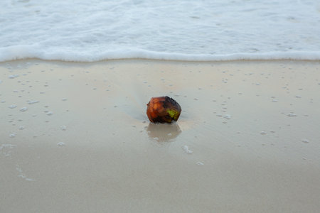 Paradise beach with white sand and palms. Diani Beach at Indian ocean surroundings of Mombasa, Kenya. Landscape photo exotic beach in Africaの写真素材