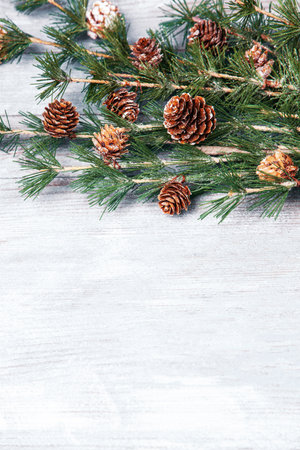 Christmas background with fir branches and cones on wooden board, copy spaceの写真素材