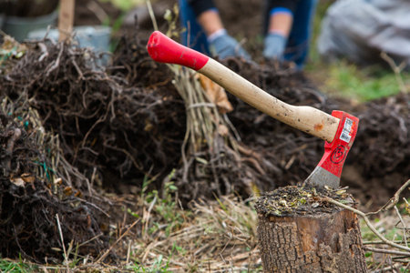 Gardener with a shovel digs a hole in the ground.の写真素材
