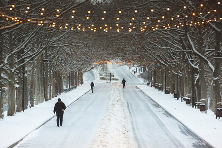 Two people walking in the winter park on a snowy day with a garland.の写真素材