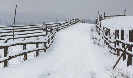 Winter landscape with snow covered trees and wooden fence in the background.