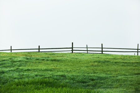 Wooden fence on a green meadow in the foggy morningの写真素材