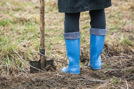 Planting trees. Tree saplings ready to be planted in the beautiful forest. Care for the environmentの写真素材
