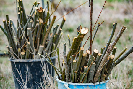 Pile of cut tree trunks in a bucket. Selective focus.