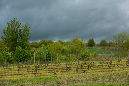 Landscape with beautiful nature in the village in the Republic of Moldova. Country life in Eastern Europe.の写真素材