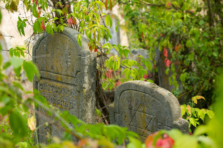 Old Jewish cemetery with stone tombstones and green plants in Israel.