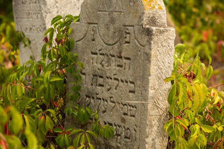 Old gravestone in a cemetery at the end of the 19th centuryの写真素材